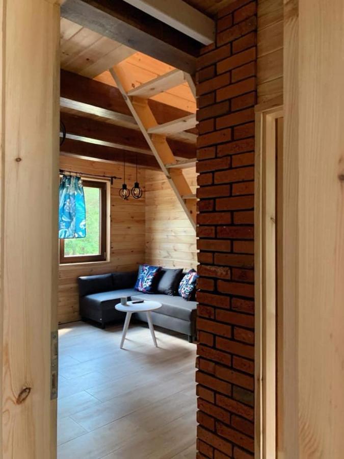 Nad Czarna Βίλα Sielpia Wielka Εξωτερικό φωτογραφία